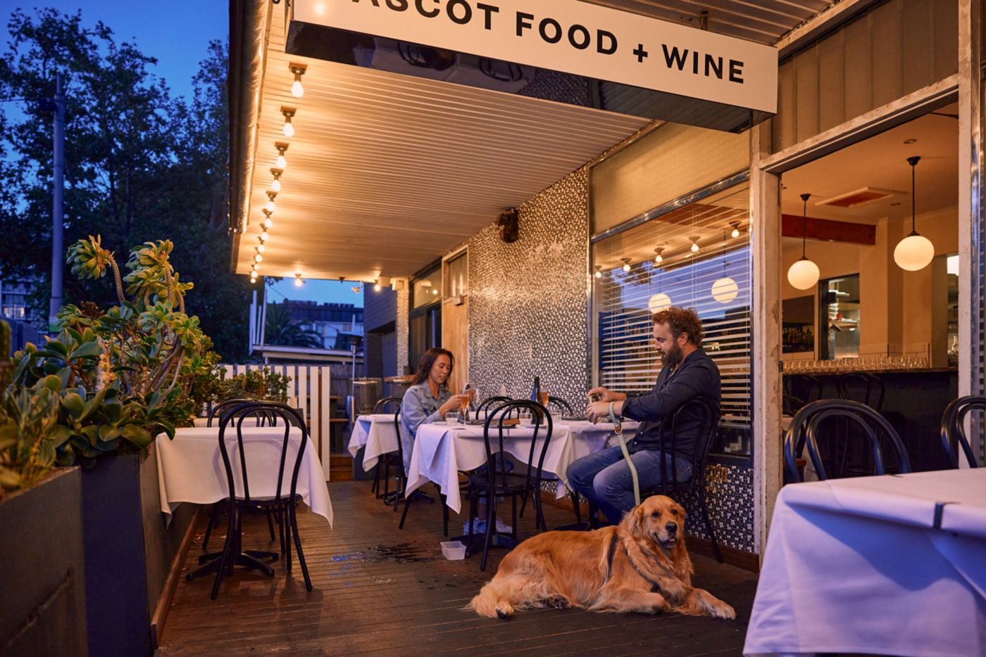 4 Best DogFriendly Bars in Melbourne by Dan Castano (PetFriendly Venues) Dan